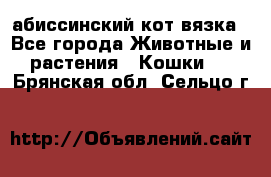 абиссинский кот вязка - Все города Животные и растения » Кошки   . Брянская обл.,Сельцо г.